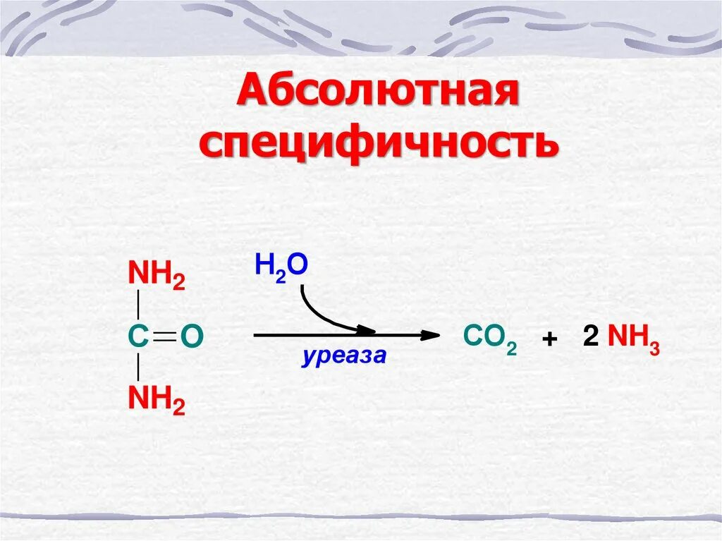 Абсолютная субстратная специфичность. Абсолютная специфичность уреазы. абсолютная специфичность ферментов. абсолютная специфичность пример.