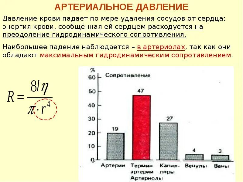 Падение давления крови