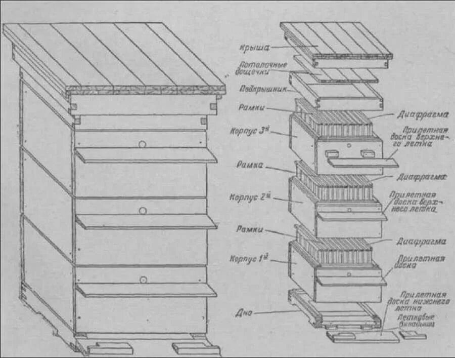 Улей Дадан чертеж. Многокорпусный улей Дадан. Многокорпусный улей чертежи. Схема строения пчелиного улья.