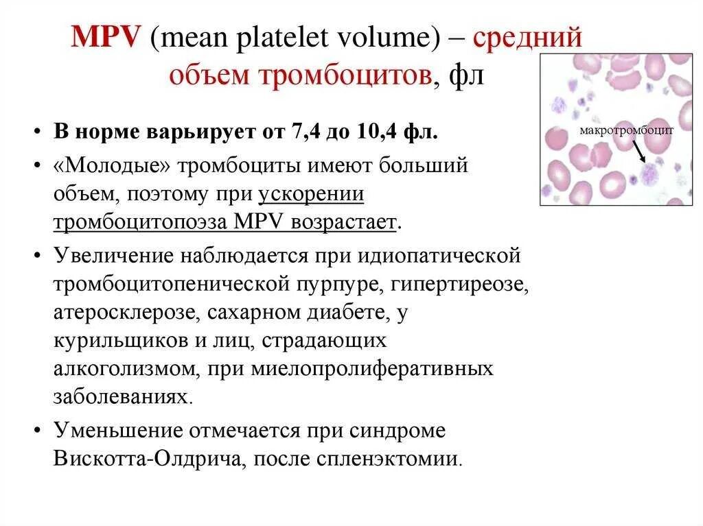 Пониженный объем тромбоцита mpv