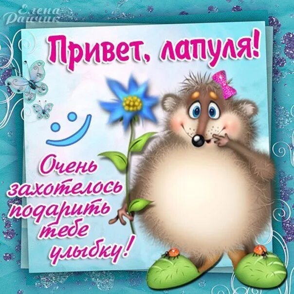 Енот привет. Портфолио мое имя. Привет мое имя есть. Привет мое имя есть. Привет мое имя есть.