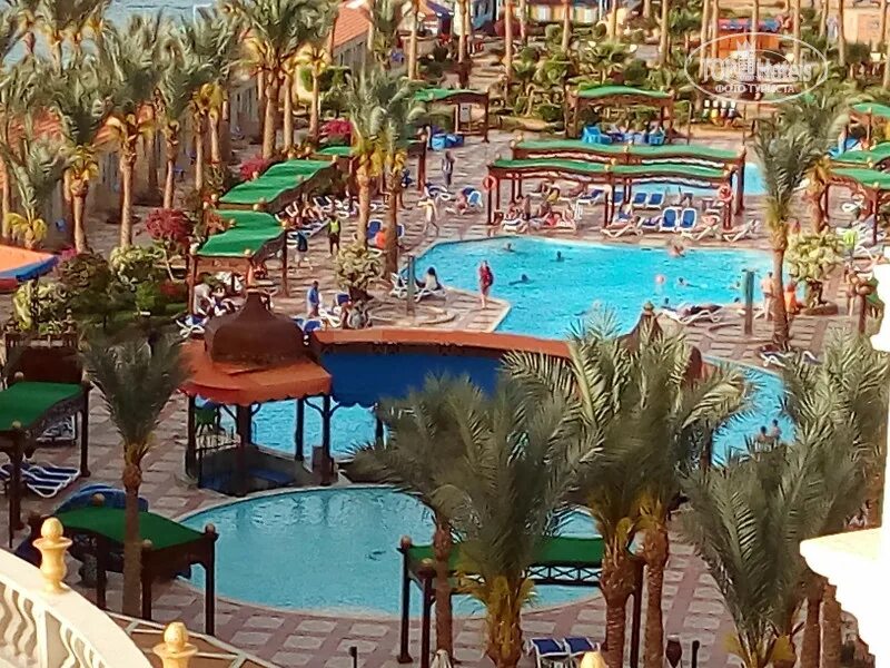 Отель hawaii riviera resort aqua park хургада. Festival le jardin resort 5. Hawaii riviera aqua park отзывы. Hawaii riviera resort & aqua park (ex. Отель гавайи ле жардин аквапарк хургада.