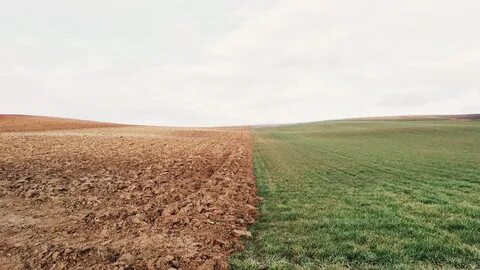 Непаханая земля 4 буквы