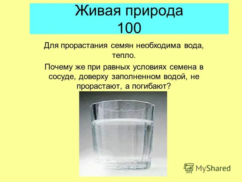 Доверху заполнена. 3 можно заполнить жидкостью. Какой сосуд можно заполнить жидкостью доверху. Какой сосуд можно заполнить жидкостью доверху. Доверху заполнена.