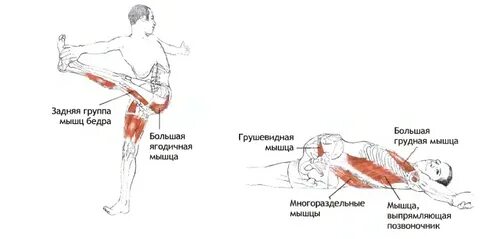 Потянув заднюю