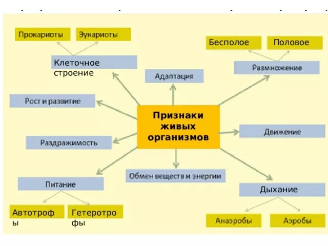 Факторы живого организма основные. Таблица по биологии 9 класс свойства живого. Общие свойства живого 9 класс биология. Признаки и свойства живых организмов. Признаки живых систем таблица.