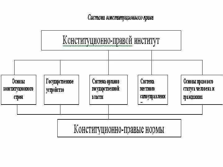 Конституционные нормы и институты. Институты конституционного законодательства. Институты конституционного законодательства. Конституционно-правовые институты понятие и виды. Виды конституционно-правовых институтов зарубежных стран.