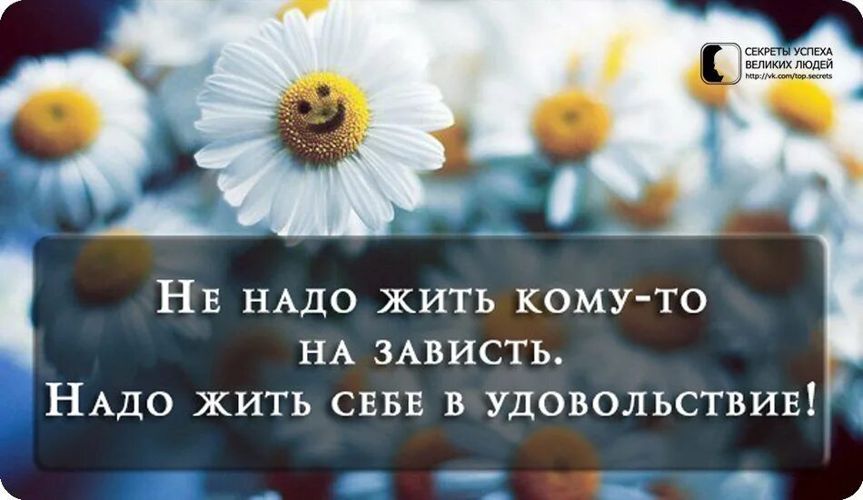 Надо жить. Жить надо высказывания. Жить надо в удовольствие. Просто жить цитаты.