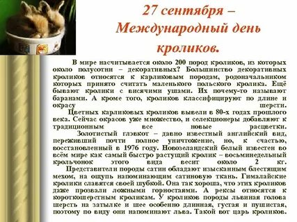 День кролика