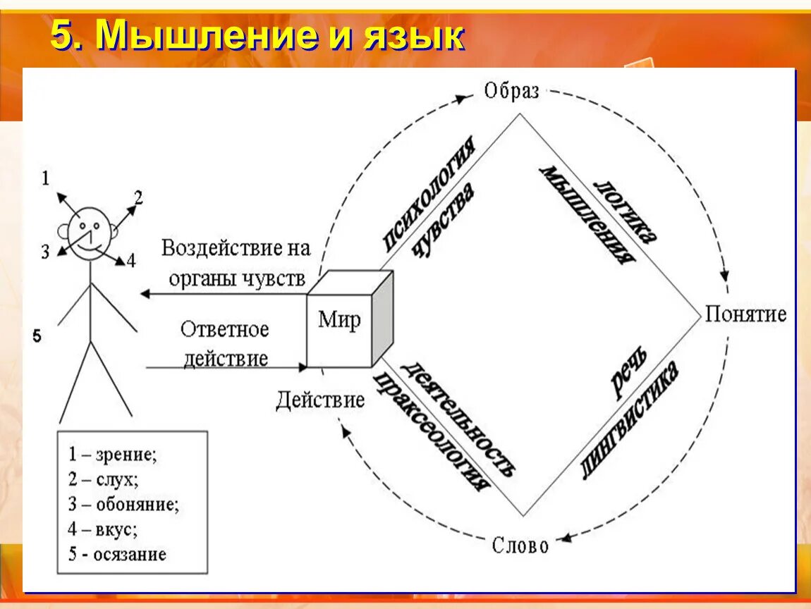 Взаимосвязь мышления и речи схема. Связь язык-мышление схема. Взаимосвязь языка и мышления. Связь мышления и речи схема. Языки мыслительной деятельности