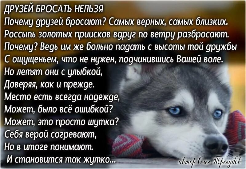 Я бросил бывшую что делать. Друзья которые бросили. цитаты о человеке которого бросили. цитаты про подруг которые кинули. цитаты про друзей которые бросили.