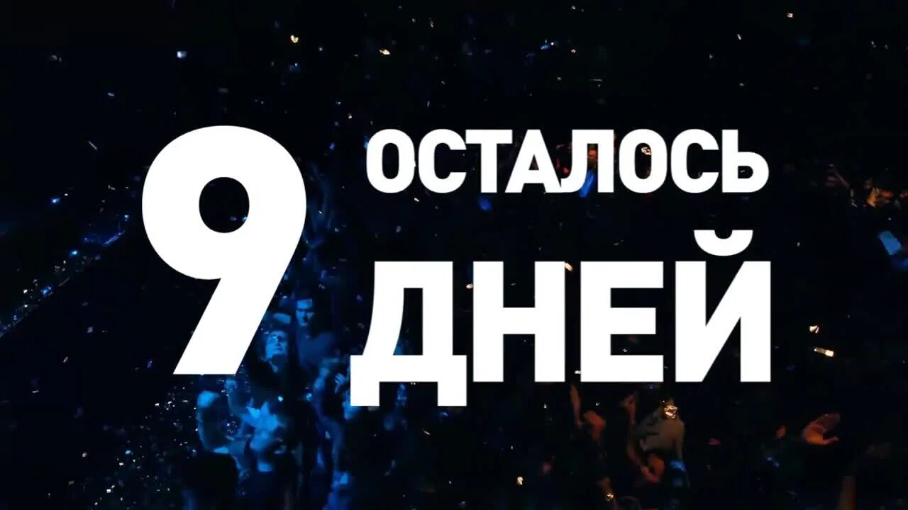 9 суток