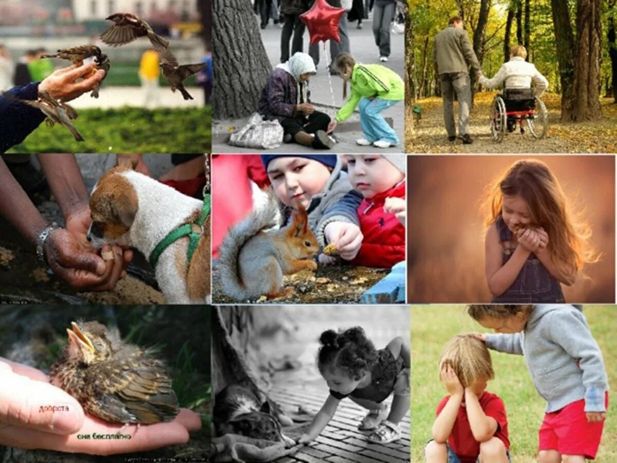Делаем добро другим людям. Добрые поступки. Доброта в поступках. Добрые дела. Милосердие к животным.