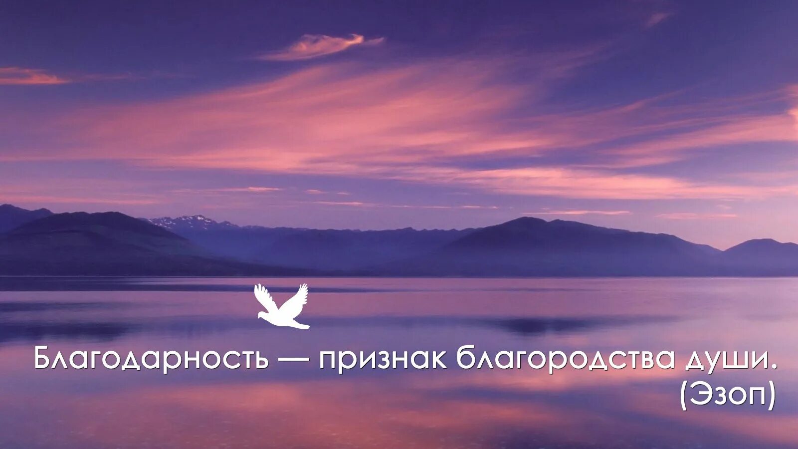Цитаты про спасибо. Благодарность цитаты. афоризмы про благодарность. мудрые мысли о благодарности. цитаты про благодарность жизни.