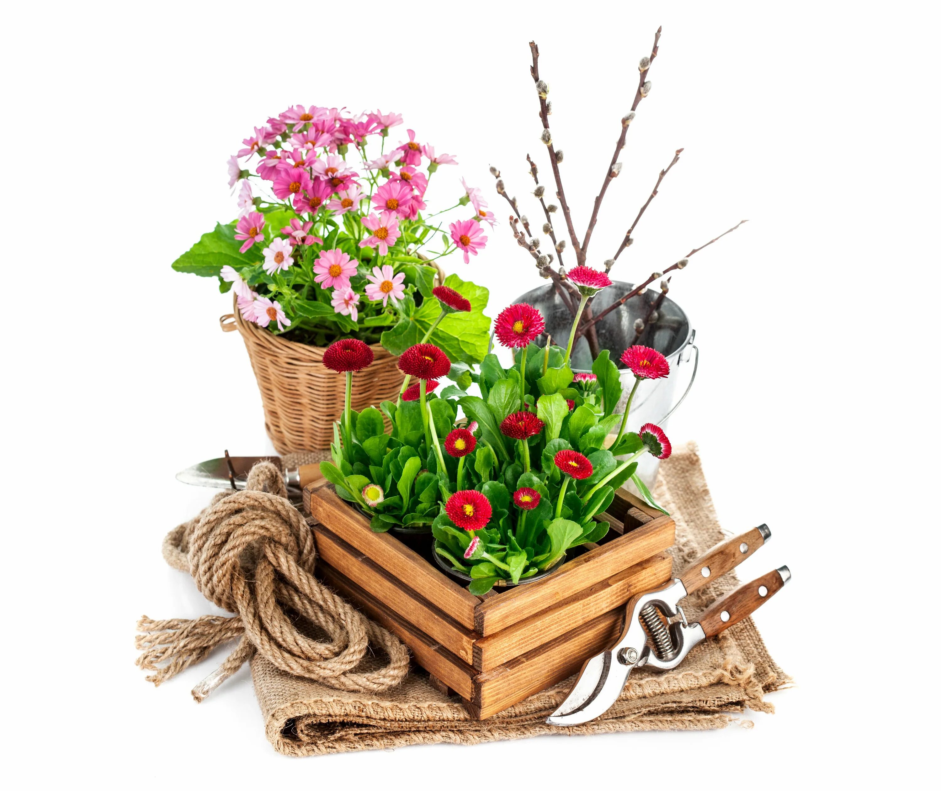 Садово-огородный инвентарь. Садовые инструменты для сада и огорода. Товары для дачи и цветов. Огород рассада. Садовый инвентарь для дачи и огорода.