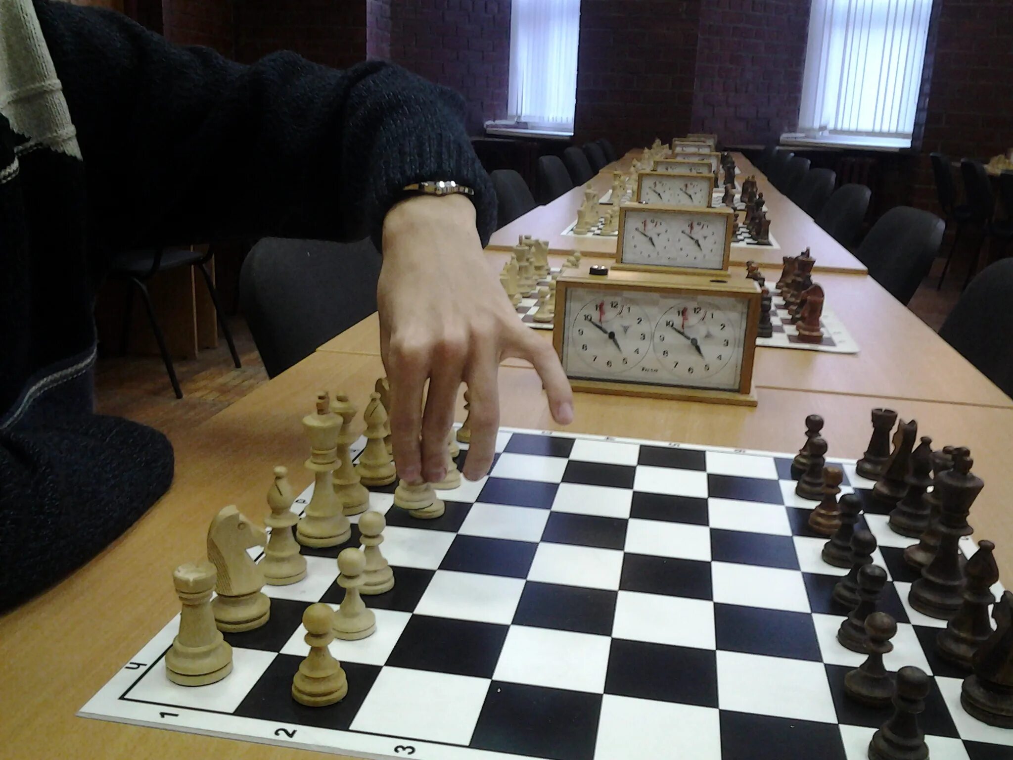 шахматы алифов османские. шахматы реал чесс. шахматные фигуры османская империя. Chess titans шахматы. шахматы.