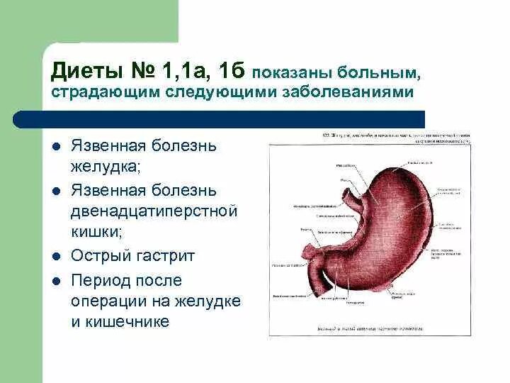 Язвы желудка, 12-перстной кишки, гастрита. Язвенная болезнь LGR gbnfybt. Перфоративная язва луковицы 12 перстной кишки. Особенности диеты при язвенной болезни желудка. Рецепты при язве двенадцатиперстной кишки