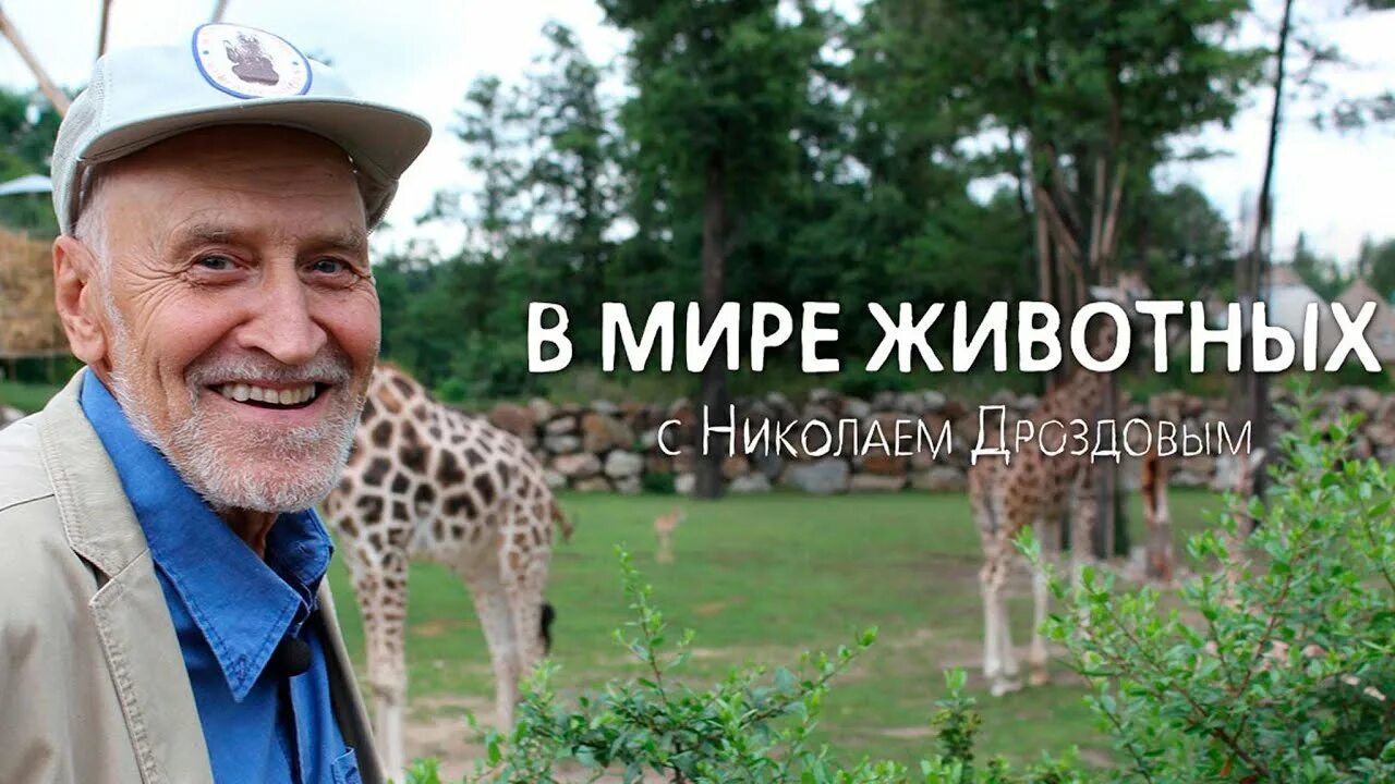 Телепередачи животных. Телепередачи животных