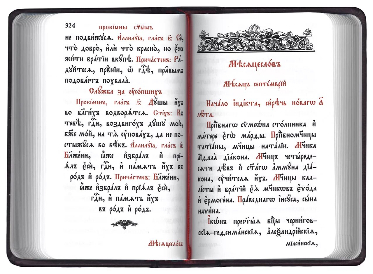 Чин проскомидии на церковно Славянском. Служебник на церковно Славянском 1875. Служебник на церковно Славянском 1904 года. Служебник на церковно Славянском карманный. Кафизма 1 читать на церковно славянском