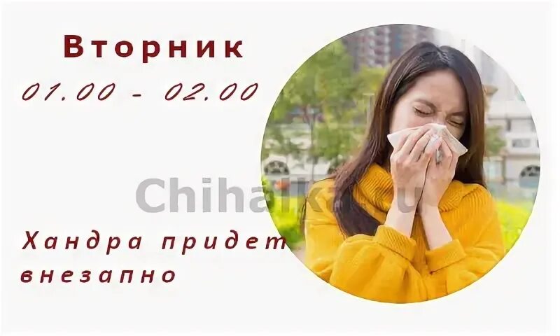 Чихнуть во вторник