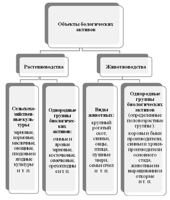 Классификация биологических активов. Примеры биологических активов. Учет и классификация биологических активов.. Оценка биологических активов. Учет биологических активов