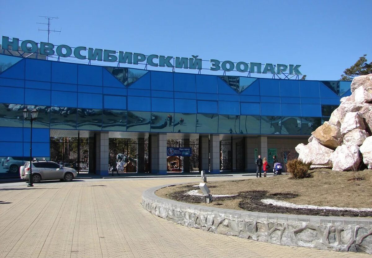 Площадь зоопарка в новосибирске. Тимирязева, 71/1, новосибирск. Зоопарк шило новосибирск. Площадь зоопарка в новосибирске. Шило ул.