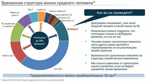 Средняя человеческая жизнь
