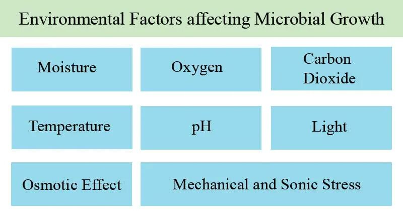 Main factors. Environmental Factors. Growth Factor. Growth and reproduction rate of microorganisms. Factors of 12.
