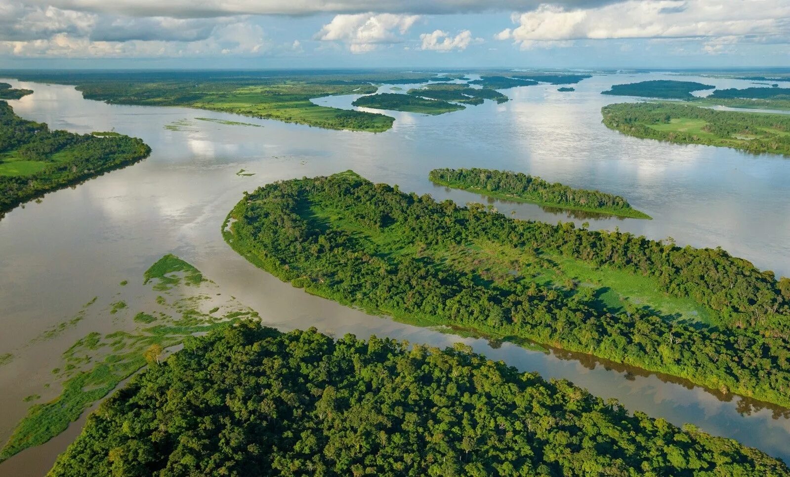 Река конго какой бассейн. Бассейн реки Конго. Национальный парк Салонга. Конго Заир река. Река Конго в Африке.
