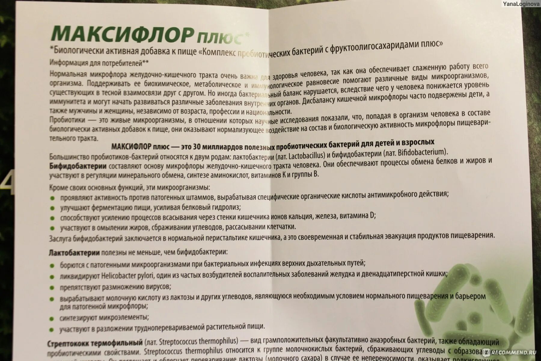 Можно пить цикорий после удаления желчного. Максифлор плюс состав. Пробиотик Максифлор плюс. Максифлор инструкция по применению. Максифлор состав препарата.