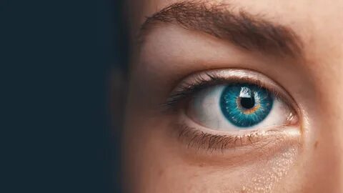 We see our eyes