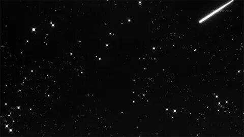 Stars official