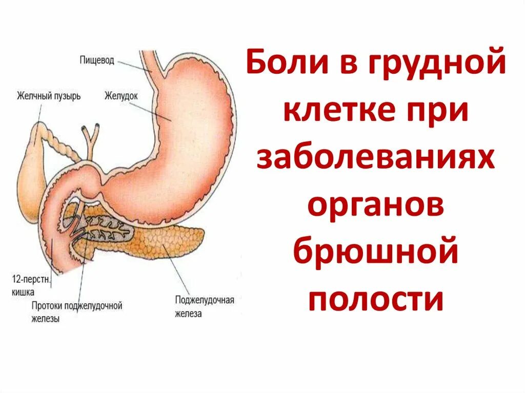 Боли в области желудка поджелудочной