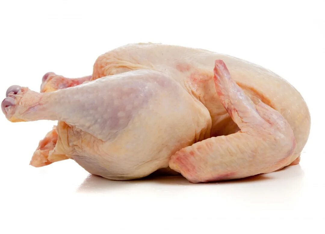 Помогите юэгую добыть мясо птицы 2. Курица мясо. Мясо птицы на белом фоне. Мясо птицы Геншин. Мясо птицы на черном фоне.