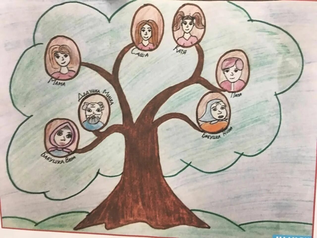 Генеалогическое дерево рисунок. Семейное дерево рисунок. Рисунок на тему семейное дерево. Дерево семьи рисунок для детей. Древо заговорщик