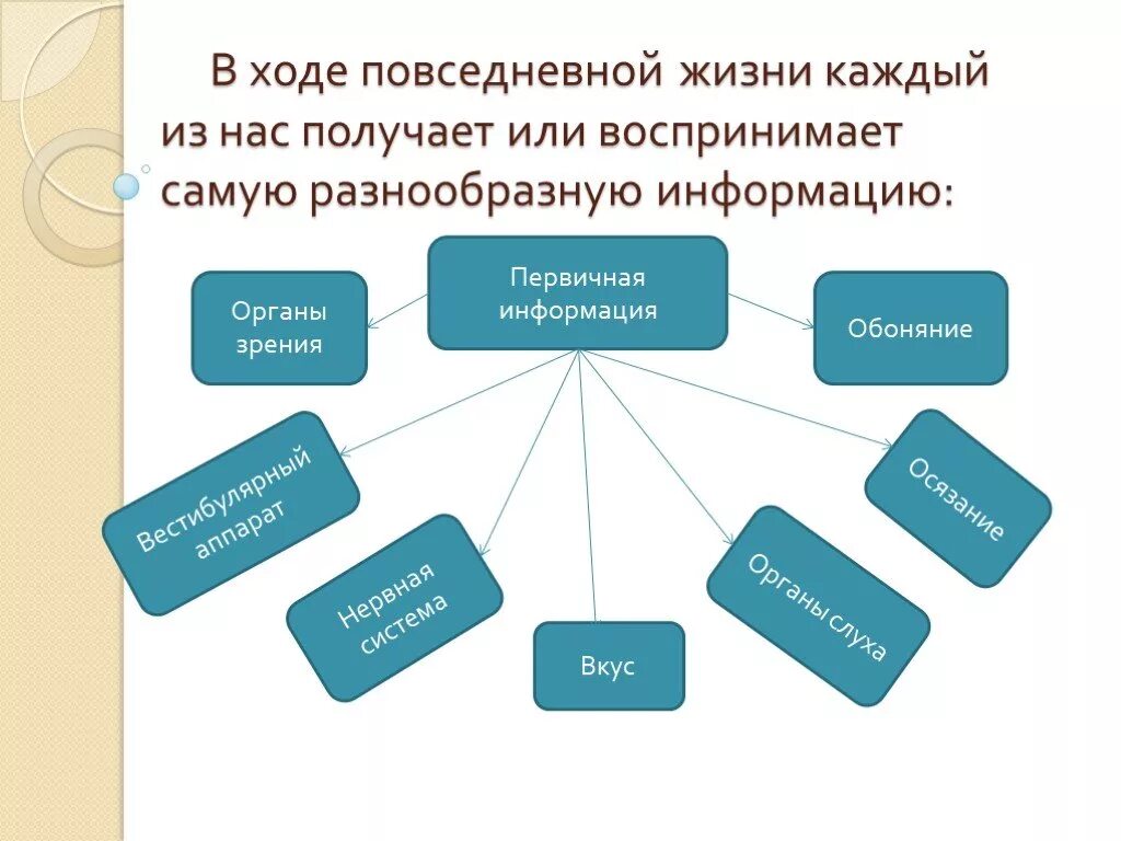 Системы в повседневной жизни. Схемы в повседневной жизни. Кодированная информация в повседневной жизни. Система жизни.