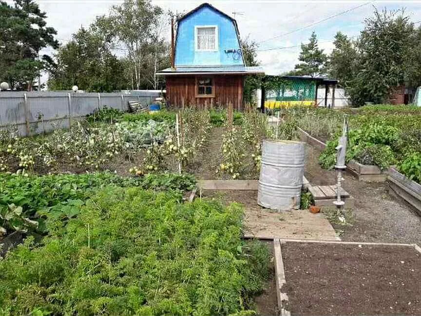 Недвижимость белогорск амурская область. Дачи в Амурской области.