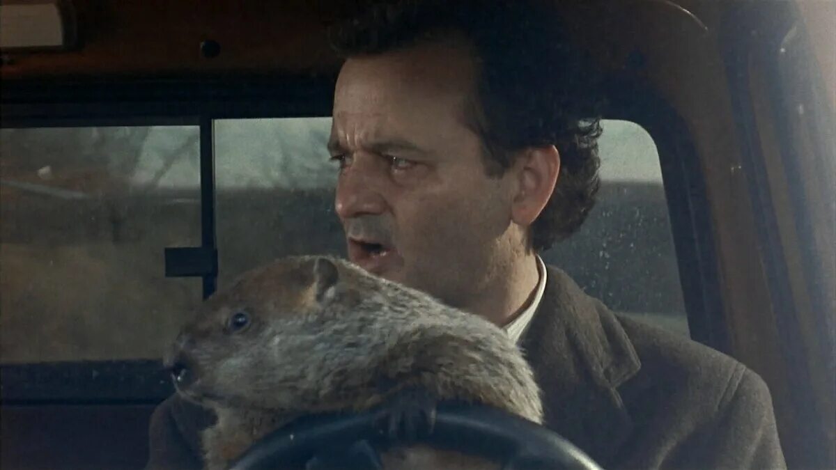 День сурка роли. Билл Мюррей день сурка 1993. Groundhog Day 1993. Билл Мюррей и сурок. Фил Коннорс день сурка.