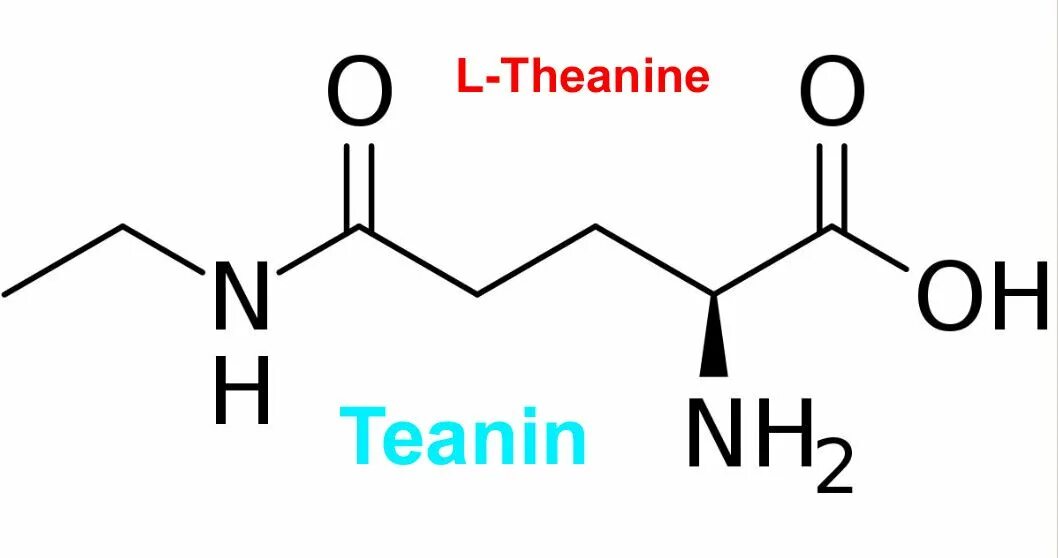Л треанин формула. Л теанин формула. Теанин биохимия. Триптофан строение. Л теанин что это