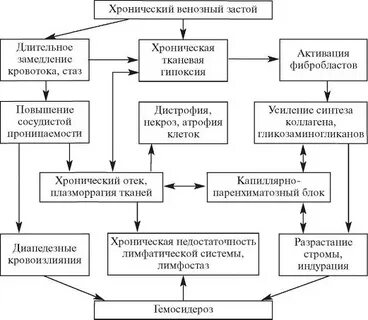 Венозный застой