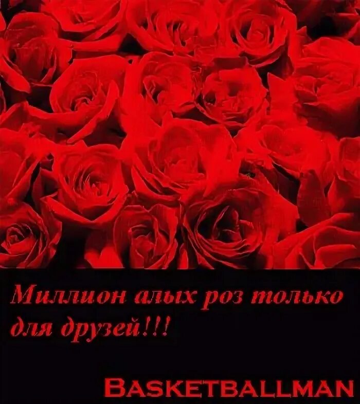 Открытка миллион алых роз для тебя. Миллион роз. Миллион цветов. Красные розы. Миллион алых роз версии.