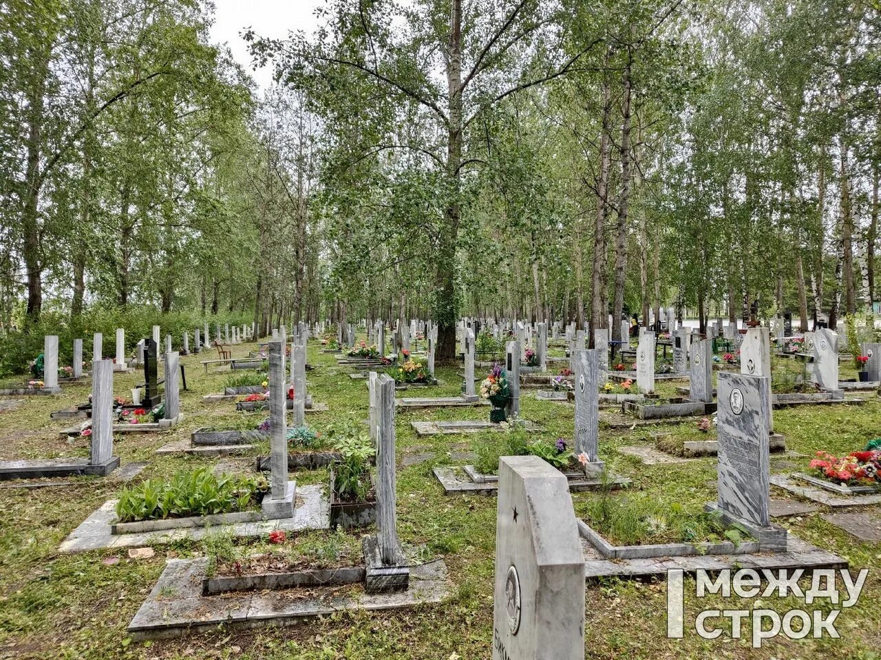 Кладбище фотеево, нижний тагил. Висимское кладбище нижний тагил. Тагильское кладбище. Сайт захоронений нижний тагил кладбище пихтовые горы. Захоронение в нижнем тагиле рогожино.
