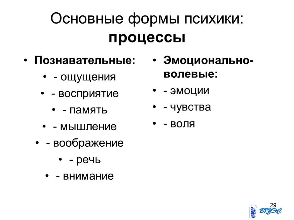 Ощущения память мышление воображение восприятие. Мышление речь и воображение. Восприятие память мышление. Познавательные процессы: восприятие, внимание, память, мышление. Ощущение восприятие память внимание мышление воображение.