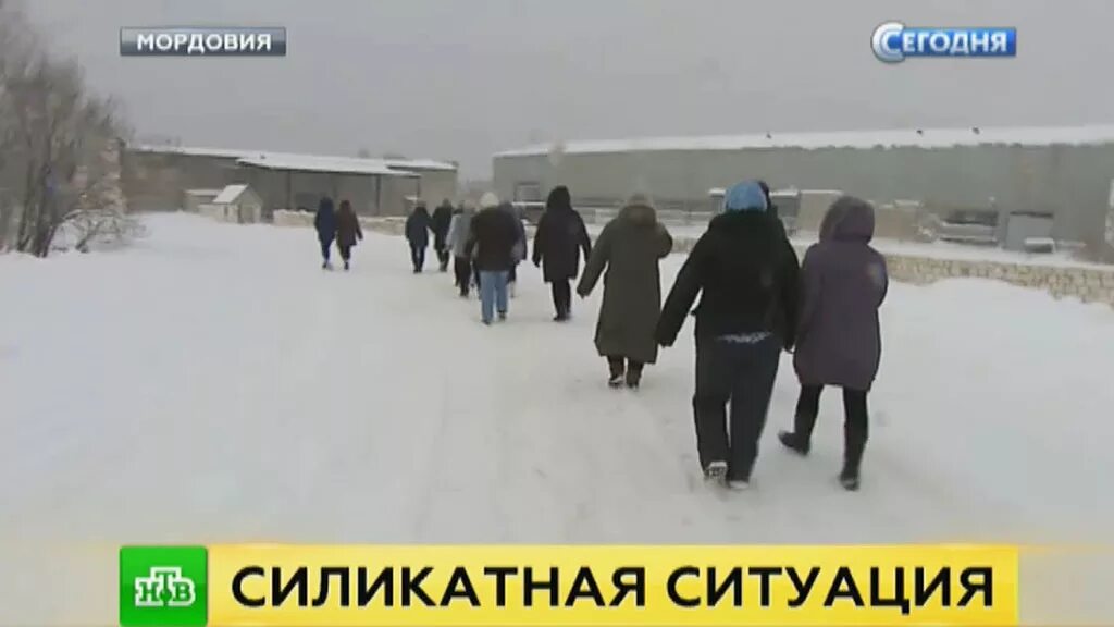 Ковылкинский завод силикатного кирпича. Поселок силикатный мордовия карьер. Поселок силикатный мордовия фото. Поселок силикатный мордовия. Навашино силикатный поселок.