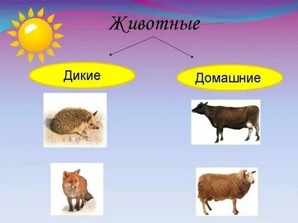 Признаки диких