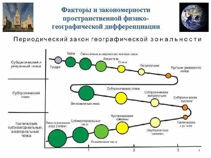 Дифференциация географической оболочки. Географические закономерности. Пространственная дифференциация географической оболочки. Основные географические закономерности.