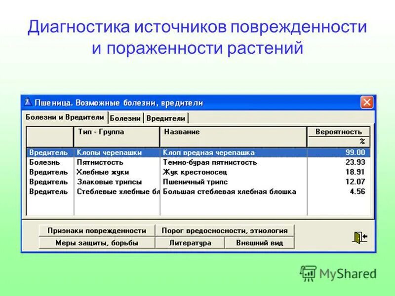 программа дисциплины дополнительное образование. направленности дополнительных общеобразовательных программ. структура рабочей программы дополнительного образования. предметы исследования в дополнительном образовании. классификация программ дополнительного образования.