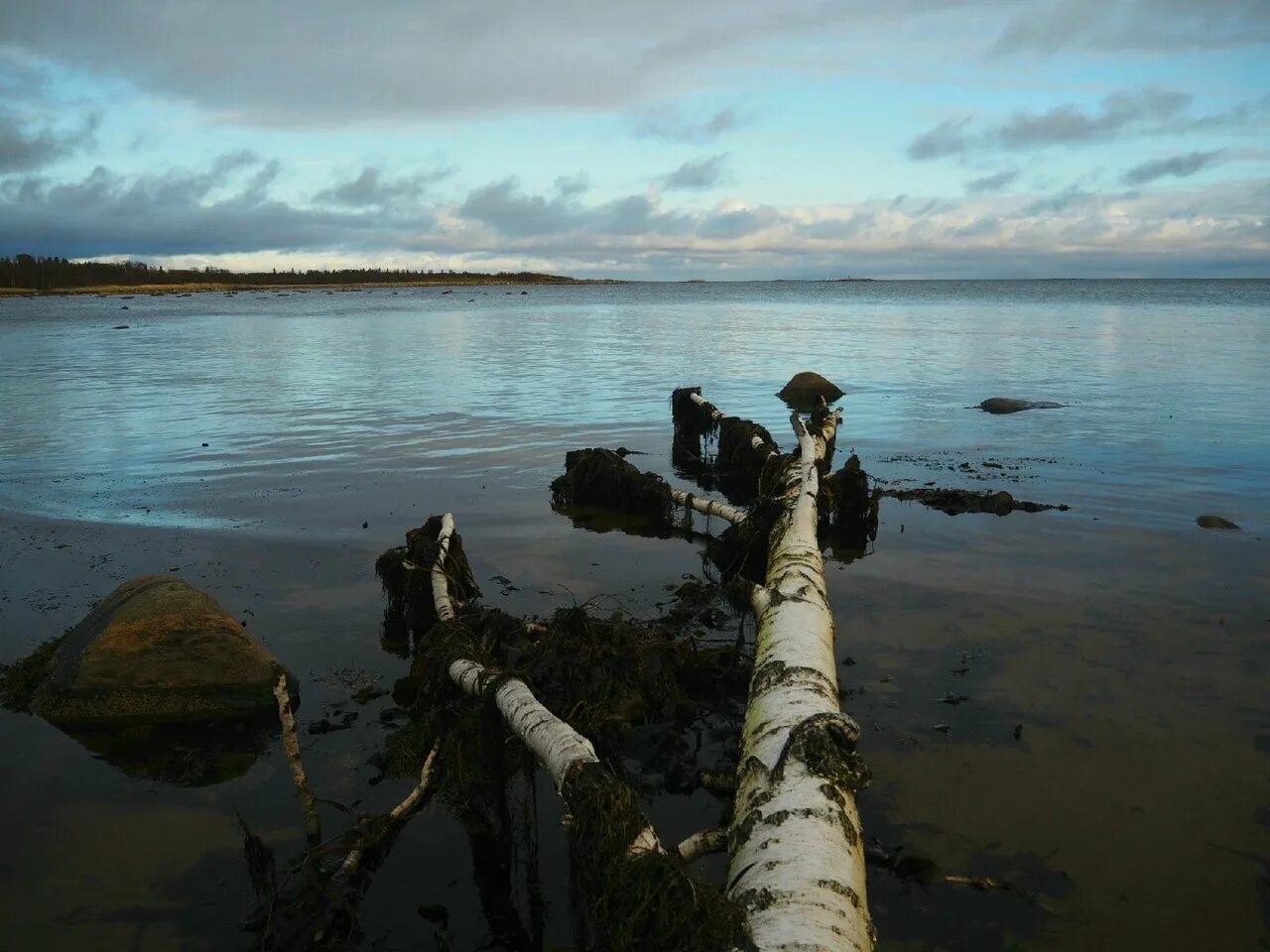Температура белого моря сегодня. Белое море северодвинск. белое море пляж северодвинск. северодвинск набережная белого моря. белое море соловки.