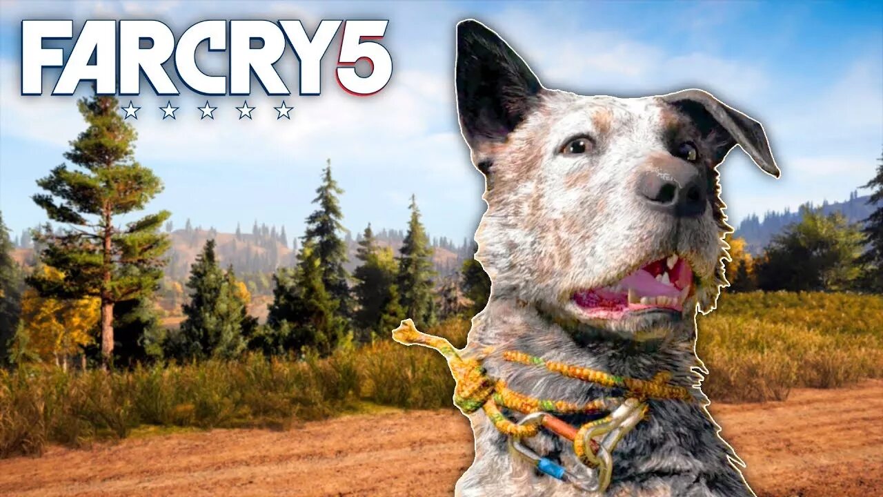 Far Cry 5. Бумер фар край 5. Фар край 5 по сети. Фар край 5 превью. Ай край 5