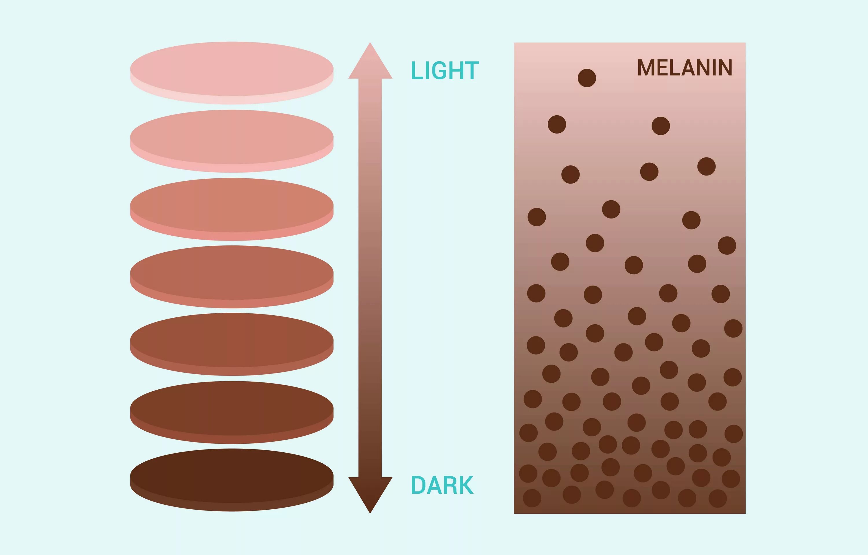 Пигмент кожи меланин находится. Меланин и феомеланин. Эумеланин феомеланин цвет. Палитра кожи человека. Пигмент волоса эумеланин.